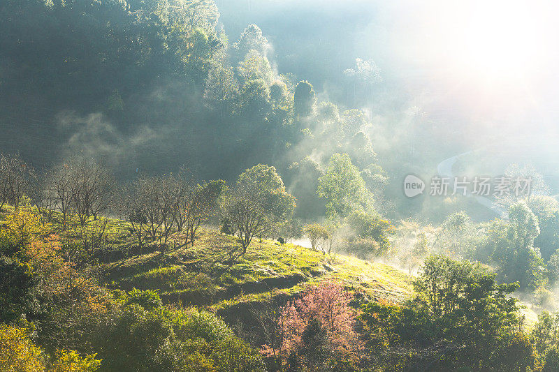 在Doi angkhang清迈自然景观风景秀丽的日出在泰国北部